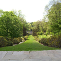 Conn College Arboretum